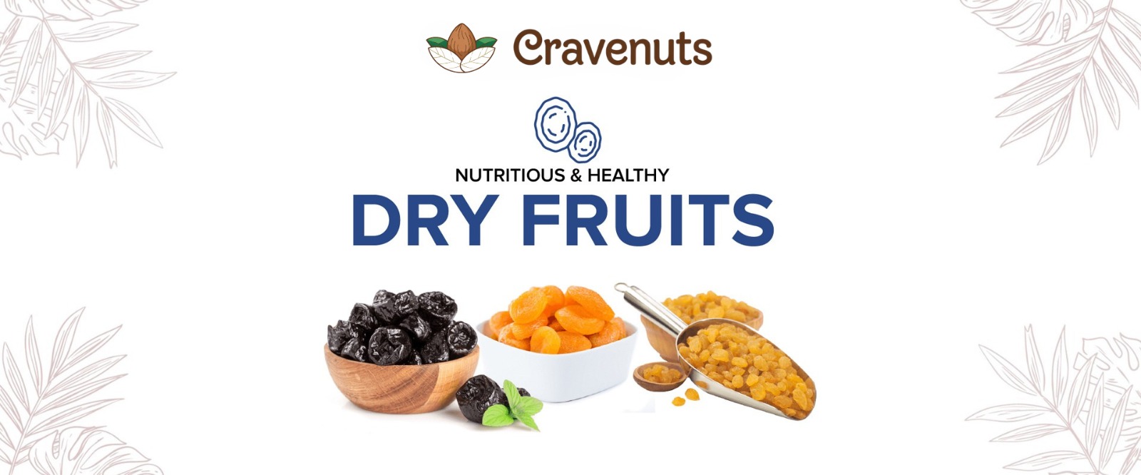 WhatsApp Image 2025-04-29 at 1.04.36 PM (2)