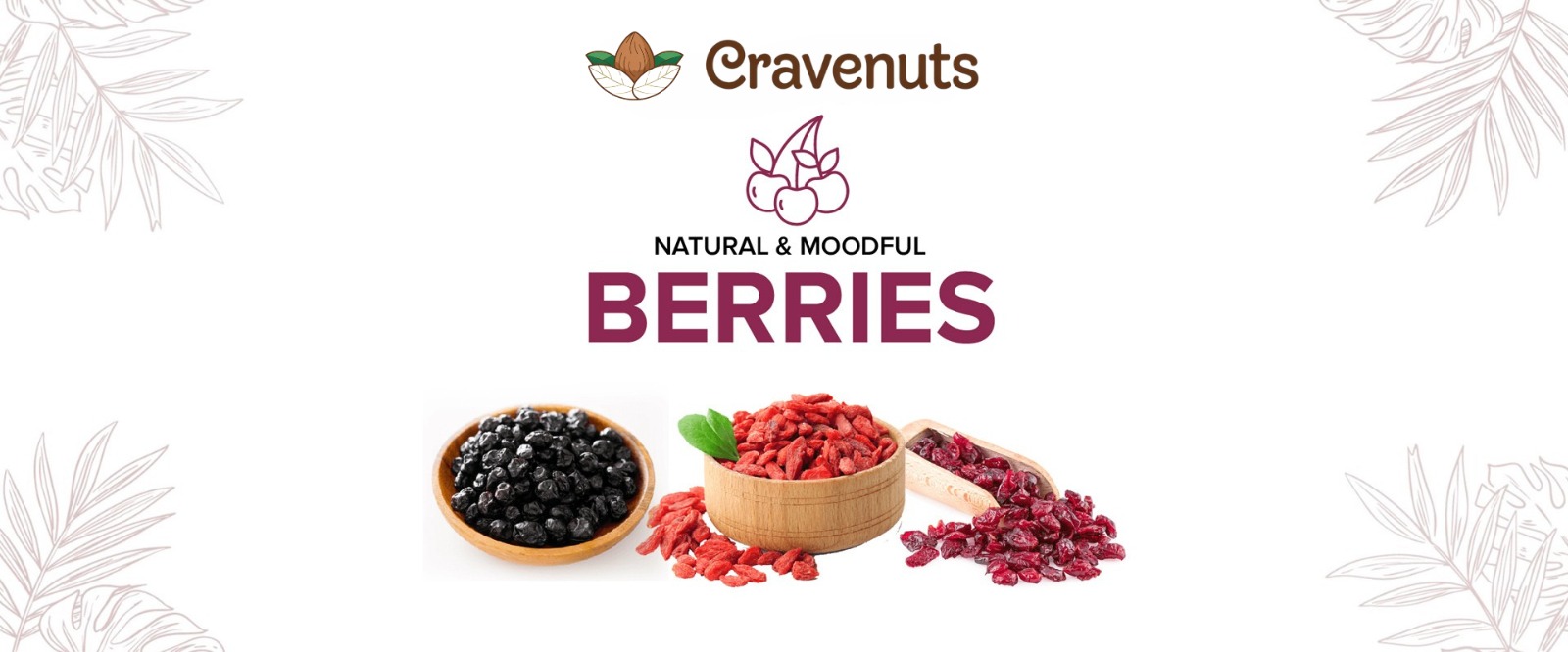 WhatsApp Image 2025-04-29 at 1.04.37 PM